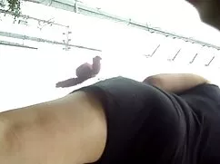 Hermoso gran pornogr ...