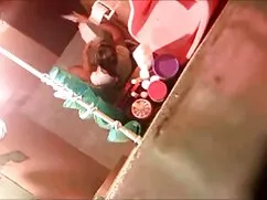 Cecilia Vega - plena ...