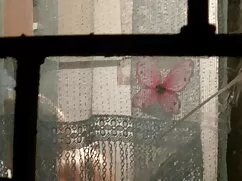 Kitty Jane, Angélica ...